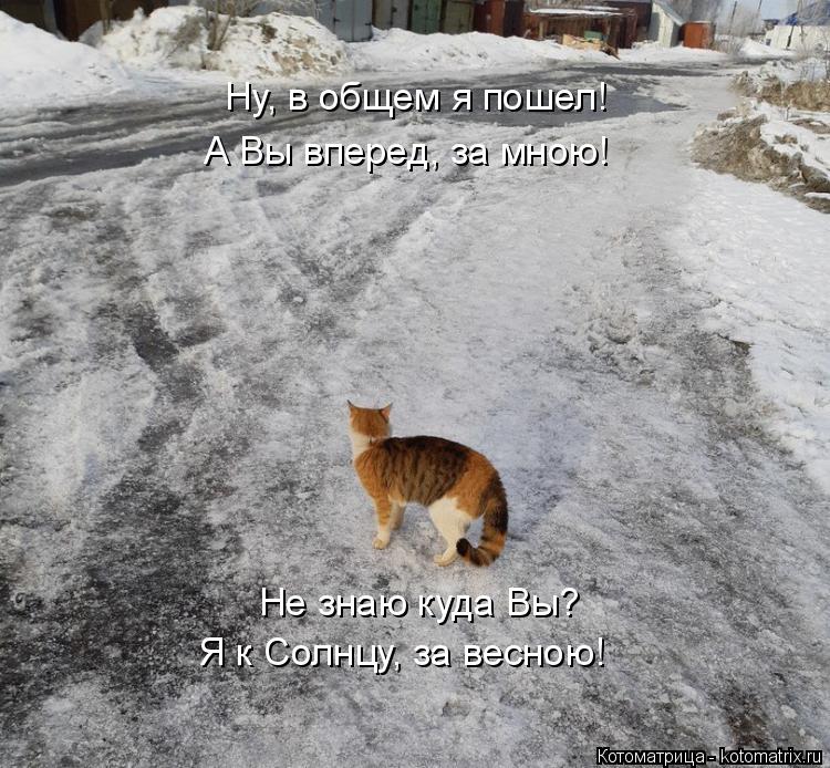 Котоматрица: Ну, в общем я пошел! А Вы вперед, за мною! Не знаю куда Вы? Я к Солнцу, за весною!