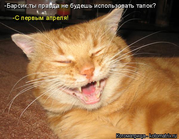 Котоматрица: -Барсик,ты правда не будешь использовать тапок? -С первым апреля!