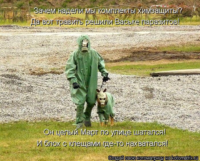 Котоматрица: Зачем надели мы комплекты химзащиты? Да вот травить решили Ваське паразитов!  Он целый Март по улице шатался! И блох с клещами где-то нахвата