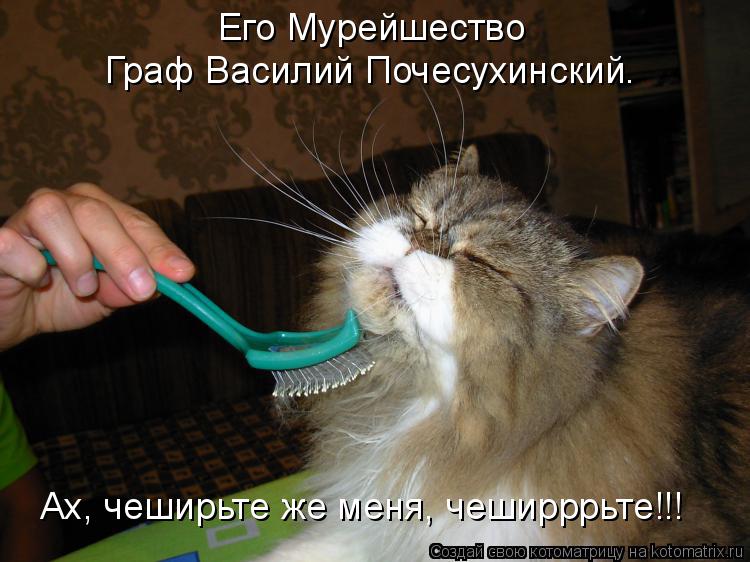 Котоматрица: Ах, чеширьте же меня, чеширррьте!!! Его Мурейшество Граф Василий Почесухинский.