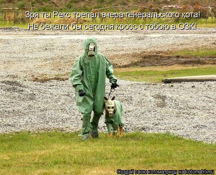 Котоматрица: Зря ты Рекс трепал вчера генеральского кота! Не бежали бы сегодня кросс с тобою в ОЗК!