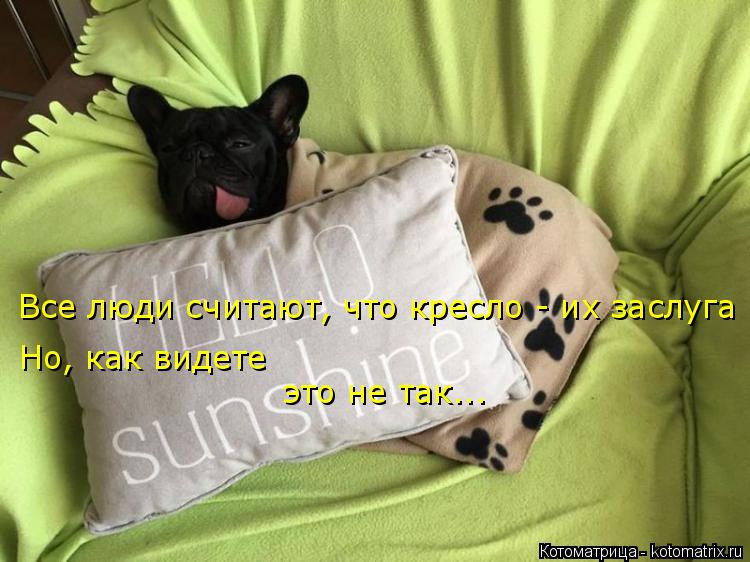 Котоматрица: Все люди считают, что кресло - их заслуга Но, как видете это не так...
