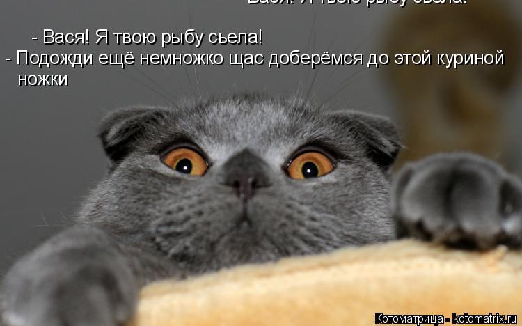 Котоматрица: - Вася! Я твою рыбу сьела! - Вася! Я твою рыбу сьела! - Подожди ещё немножко щас доберёмся до этой куриной ножки