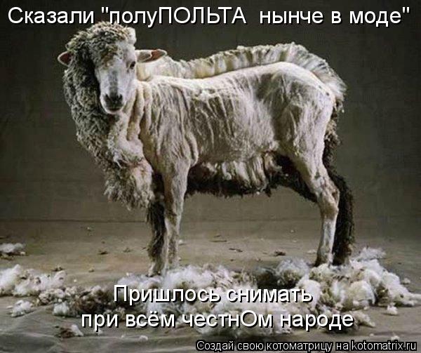 Сказали "полуПОЛЬТА нынче в моде" при всём честнОм народе Пришлось снимать... Котоматрица: Сказали "полуПОЛЬТА нынче в моде" при всём честнОм народе Пришлось снимать