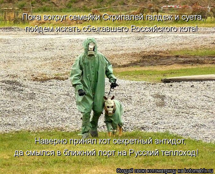 Пока вокруг семейки Скрипалей галдеж и суета, Наверно принял кот секретный антидот, да смылся в ближн... Котоматрица: Пока вокруг семейки Скрипалей галдеж и суета, Наверно принял кот секретный антидот, да смылся в ближний порт на Русский теплоход! пойдем ис?