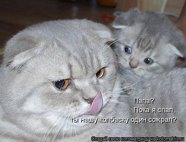 Котоматрица: Папа?  Пока я спал,  ты нашу колбаску один сожрал?
