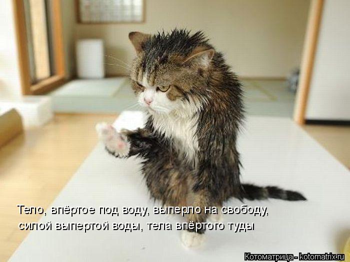Котоматрица: Тело, впёртое под воду, выперло на свободу,  силой выпертой воды, тела впёртого туды