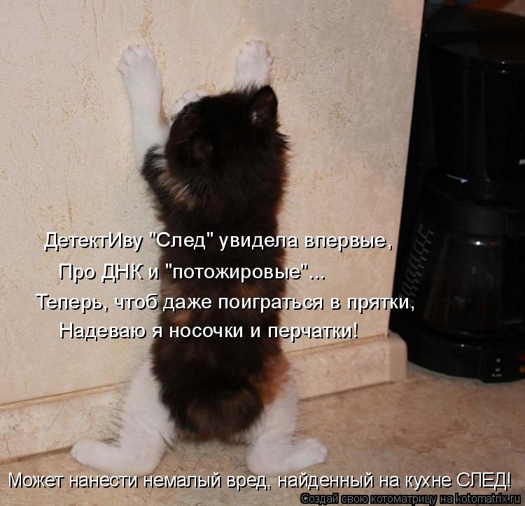 Котоматрица: ДетектИву "След" увидела впервые, Про ДНК и "потожировые"... Теперь, чтоб даже поиграться в прятки, Надеваю я носочки и перчатки! Может нанести