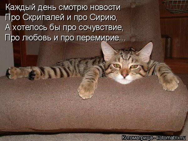 Каждый день смотрю новости Про Скрипалей и про Сирию, А хотелось бы про сочувствие, Про любовь и про ... Котоматрица: Каждый день смотрю новости Про Скрипалей и про Сирию, А хотелось бы про сочувствие, Про любовь и про перемирие...