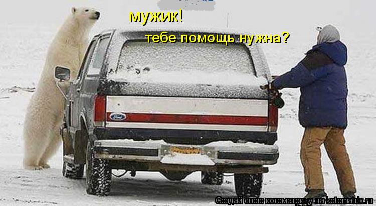 Котоматрица: мужик!  тебе помощь нужна?