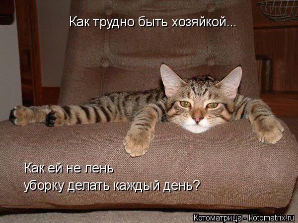 Как трудно быть хозяйкой... Как ей не лень уборку делать каждый день?... Котоматрица: Как трудно быть хозяйкой... Как ей не лень уборку делать каждый день?