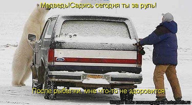 Медведь!Садись сегодня ты за руль! После рыбалки, мне что-то не здоровится... Котоматрица: Медведь!Садись сегодня ты за руль! После рыбалки, мне что-то не здоровится