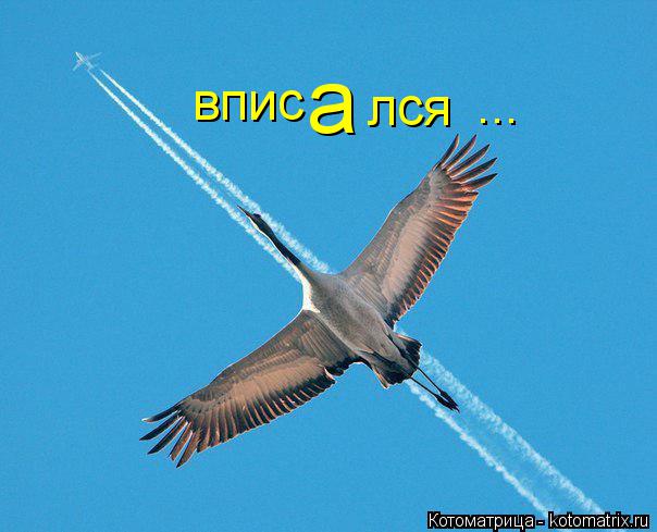 впис а лся ...... Котоматрица: впис а лся ...
