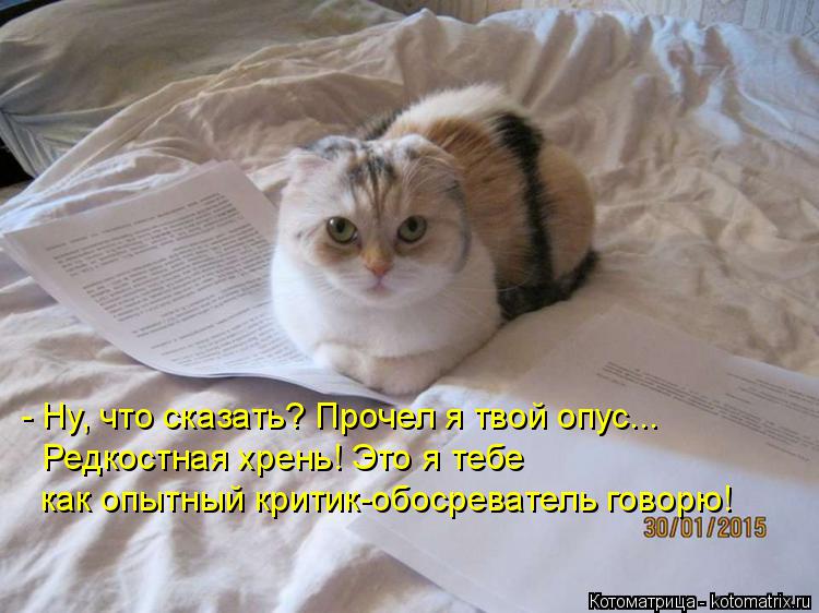 - Ну, что сказать? Прочел я твой опус... Редкостная хрень! Это я тебе как опытный критик-обосревател... Котоматрица: - Ну, что сказать? Прочел я твой опус... Редкостная хрень! Это я тебе как опытный критик-обосреватель говорю!