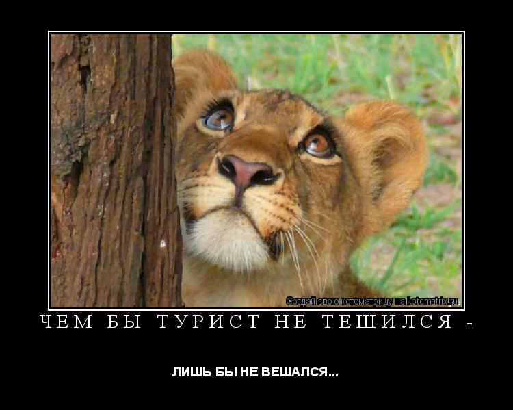ЧЕМ БЫ ТУРИСТ НЕ ТЕШИЛСЯ - ЛИШЬ БЫ НЕ ВЕШАЛСЯ...... Котоматрица: ЧЕМ БЫ ТУРИСТ НЕ ТЕШИЛСЯ - ЛИШЬ БЫ НЕ ВЕШАЛСЯ...