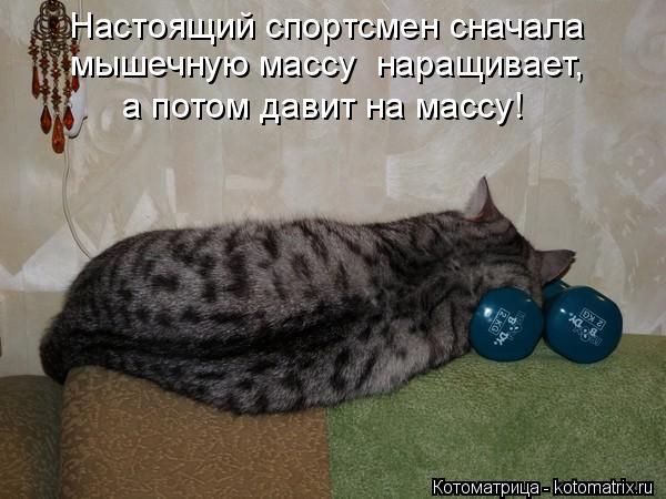 Настоящий спортсмен сначала мышечную массу наращивает, а потом давит на массу!... Котоматрица: Настоящий спортсмен сначала мышечную массу наращивает, а потом давит на массу!