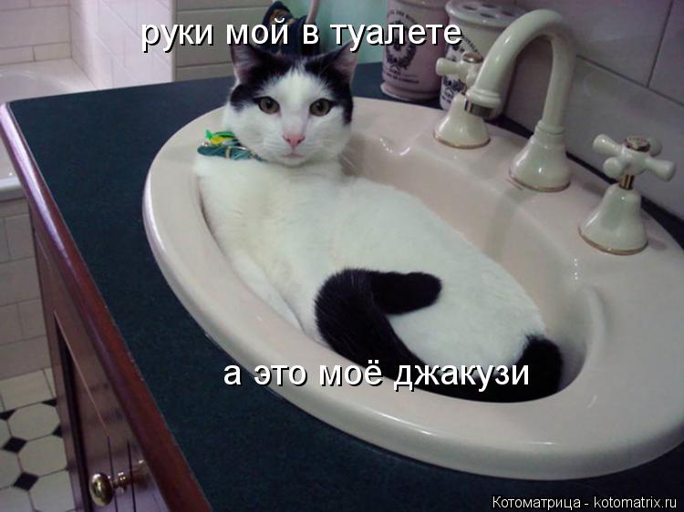 руки мой в туалете а это моё джакузи... Котоматрица: руки мой в туалете а это моё джакузи