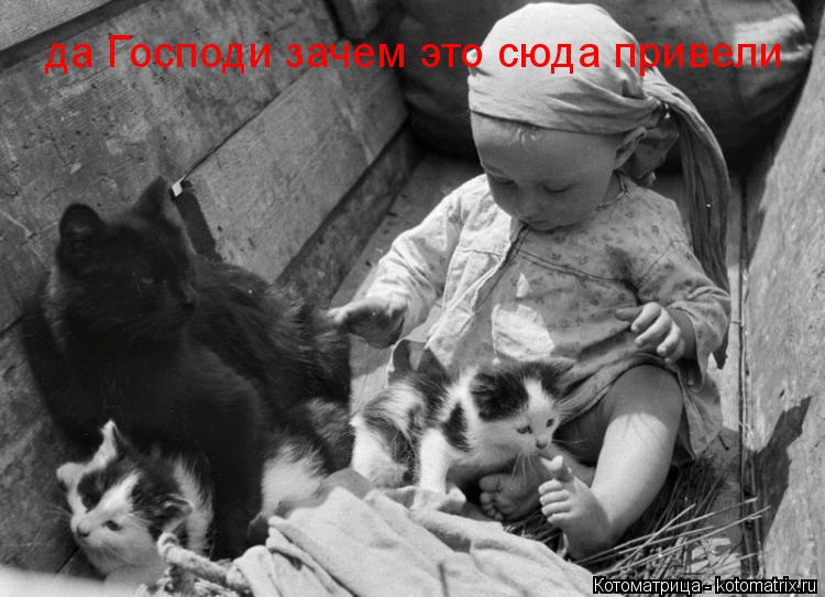 да Господи зачем это сюда привели... Котоматрица: да Господи зачем это сюда привели