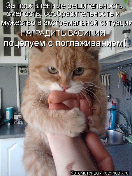 За проявленные решительность, смелость, сообразительность и мужество в экстремальной ситуации НАГРАДИ... Котоматрица: За проявленные решительность, смелость, сообразительность и мужество в экстремальной ситуации НАГРАДИТЬ ВАСИЛИЯ поцелуем с поглаживание?