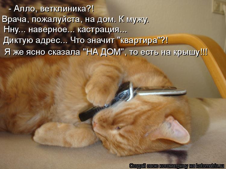 - Алло, ветклиника?! Врача, пожалуйста, на дом. К мужу. Нну... наверное... кастрация... Диктую адрес.... Котоматрица: - Алло, ветклиника?! Врача, пожалуйста, на дом. К мужу. Нну... наверное... кастрация... Диктую адрес... Что значит "квартира"?! Я же ясно сказала "НА Д