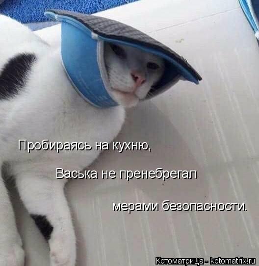 Пробираясь на кухню, Васька не пренебрегал мерами безопасности.... Котоматрица: Пробираясь на кухню, Васька не пренебрегал мерами безопасности.