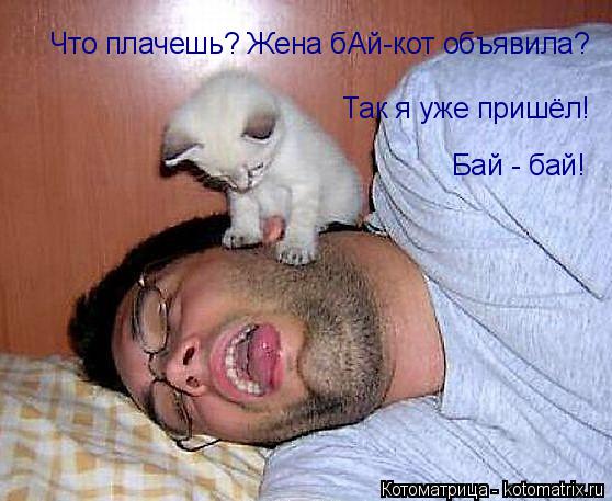 Так я уже пришёл! Бай - бай! Что плачешь? Жена бАй-кот объявила?... Котоматрица: Так я уже пришёл! Бай - бай! Что плачешь? Жена бАй-кот объявила?
