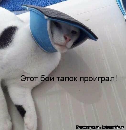 Этот бой тапок проиграл!... Котоматрица: Этот бой тапок проиграл!
