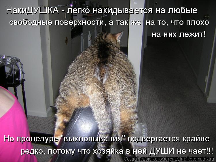 НакиДУШКА - легко накидывается на любые свободные поверхности, а так же на то, что плохо на них леж... Котоматрица: НакиДУШКА - легко накидывается на любые свободные поверхности, а так же на то, что плохо на них лежит! Но процедуре "выхлопывания" подверга?