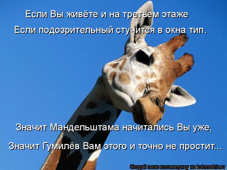 Если Вы живёте и на третьем этаже Если подозрительный стучится в окна тип. Значит Мандельштама начи... Котоматрица: Если Вы живёте и на третьем этаже Если подозрительный стучится в окна тип. Значит Мандельштама начитались Вы уже, Значит Гумилёв Вам этого