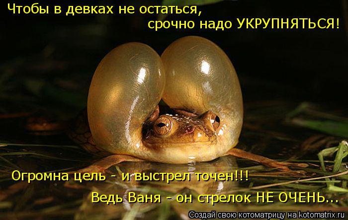 Чтобы в девках не остаться, срочно надо УКРУПНЯТЬСЯ! Огромна цель - и выстрел точен!!! Ведь Ваня - он... Котоматрица: Чтобы в девках не остаться, срочно надо УКРУПНЯТЬСЯ! Огромна цель - и выстрел точен!!! Ведь Ваня - он стрелок НЕ ОЧЕНЬ...