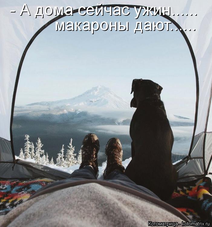 - А дома сейчас ужин...... макароны дают......... Котоматрица: - А дома сейчас ужин...... макароны дают......
