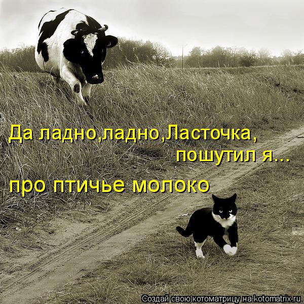 Да ладно,ладно,Ласточка, пошутил я... про птичье молоко... Котоматрица: Да ладно,ладно,Ласточка, пошутил я... про птичье молоко