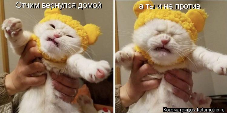 Отчим вернулся домой а ты и не против... Котоматрица: Отчим вернулся домой а ты и не против