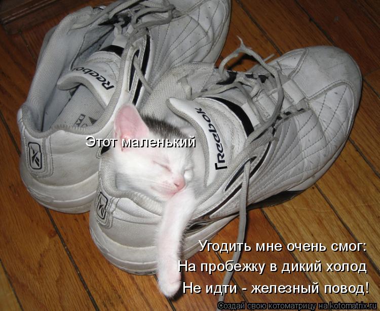 г Этот маленький На пробежку в дикий холод Не идти - железный повод! Угодить мне очень смог:... Котоматрица: г Этот маленький На пробежку в дикий холод Не идти - железный повод! Угодить мне очень смог: