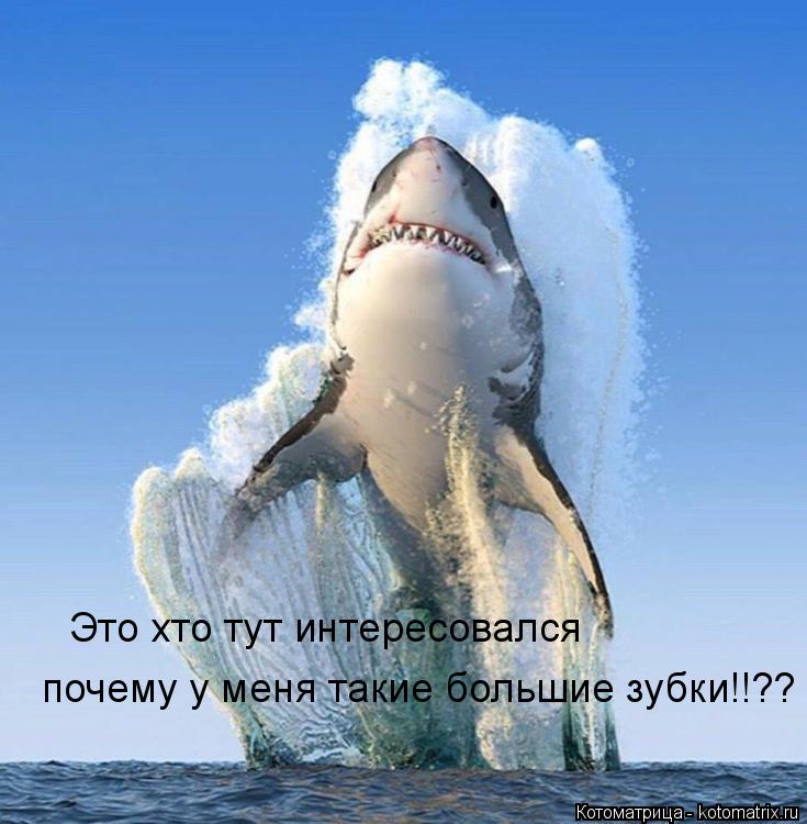 Котоматрица: Это хто тут интересовался почему у меня такие большие зубки!!??