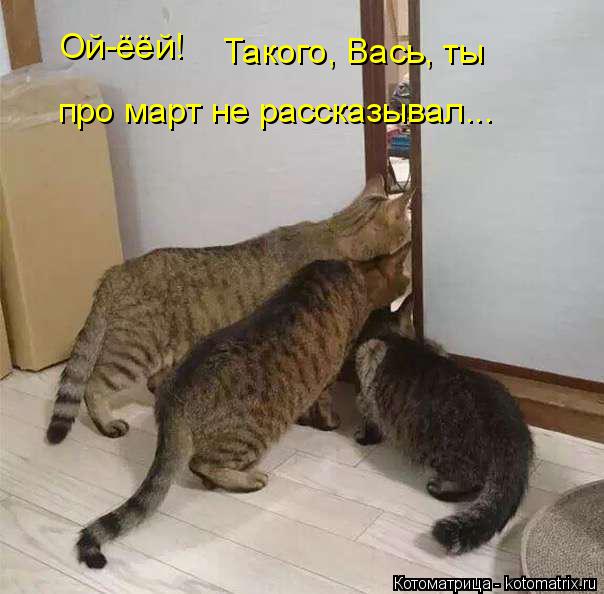 Котоматрица: Ой-ёёй! Такого, Вась, ты про март не рассказывал...
