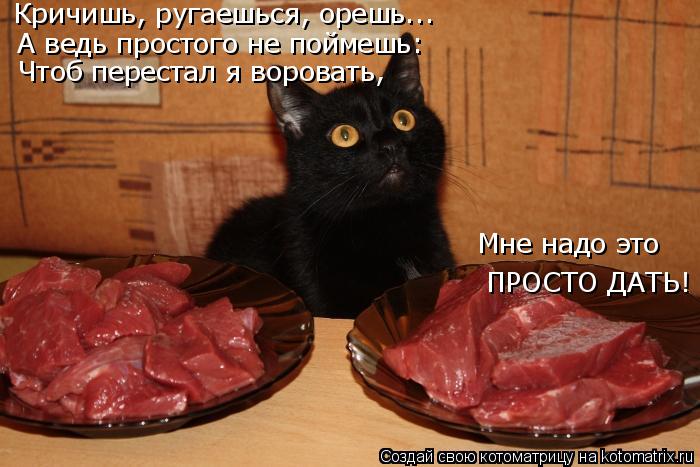 Котоматрица: Кричишь, ругаешься, орешь... А ведь простого не поймешь: Чтоб перестал я воровать, Мне надо это  ПРОСТО ДАТЬ!