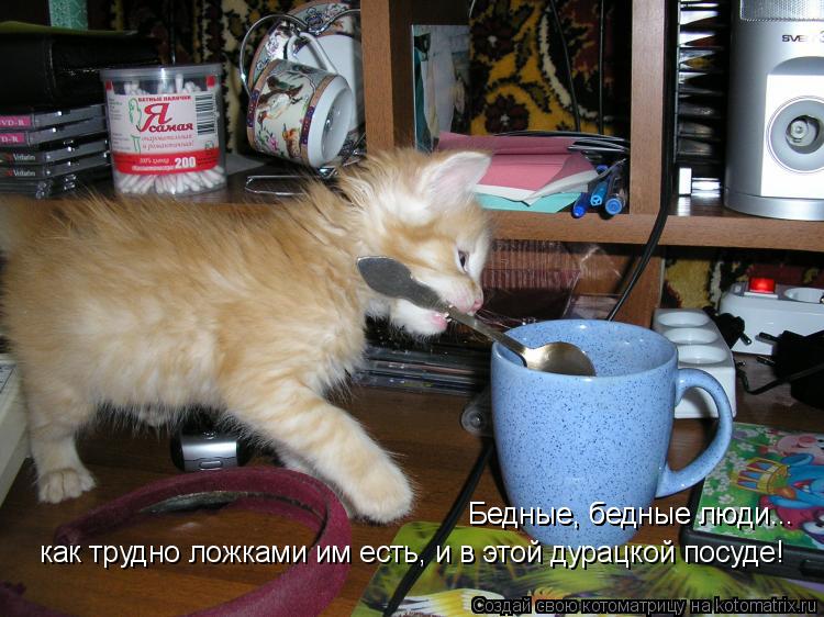 Котоматрица: Бедные, бедные люди... Бедные, бедные люди... как трудно ложками им есть, и в этой дурацкой посуде!
