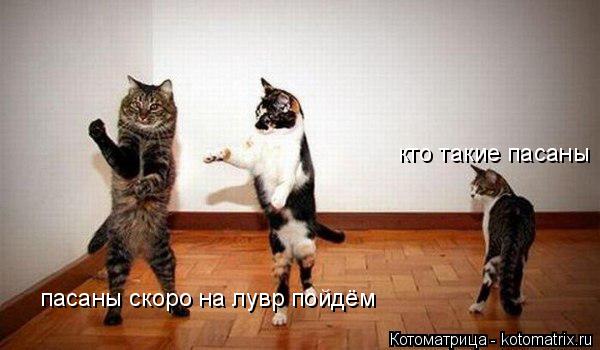 Котоматрица: пасаны скоро на лувр пойдём кто такие пасаны