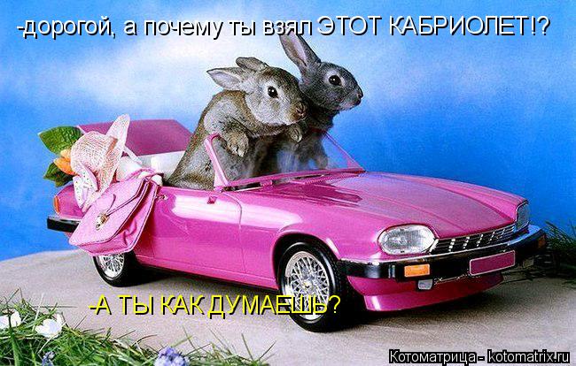 -дорогой, а почему ты взял ЭТОТ КАБРИОЛЕТ!? -А ТЫ КАК ДУМАЕШЬ?... Котоматрица: -дорогой, а почему ты взял ЭТОТ КАБРИОЛЕТ!? -А ТЫ КАК ДУМАЕШЬ?