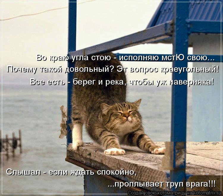 Котоматрица: Во краю угла стою - исполняю мстЮ свою... Почему такой довольный? Эт вопрос краеугольный! Все есть - берег и река, чтобы уж наверняка! Слышал - е