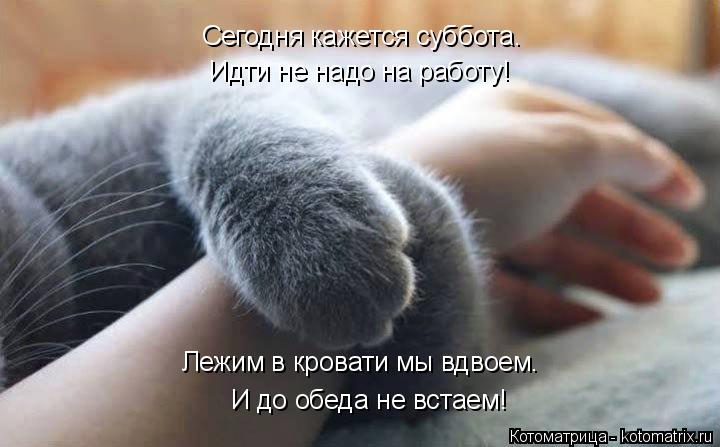 Идти не надо на работу! Сегодня кажется суббота. И до обеда не встаем! Лежим в кровати мы вдвоем.... Котоматрица: Идти не надо на работу! Сегодня кажется суббота. И до обеда не встаем! Лежим в кровати мы вдвоем.