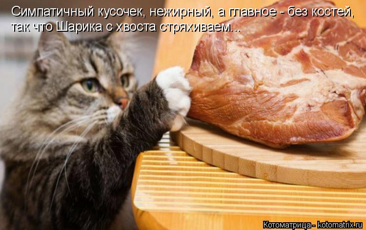 Симпатичный кусочек, нежирный, а главное - без костей, так что Шарика с хвоста стряхиваем...... Котоматрица: Симпатичный кусочек, нежирный, а главное - без костей, так что Шарика с хвоста стряхиваем...