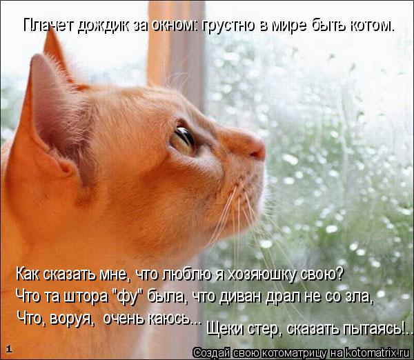 Котоматрица: Плачет дождик за окном: грустно в мире быть котом. Как сказать мне, что люблю я хозяюшку свою?  Что та штора "фу" была, что диван драл не со зла, 