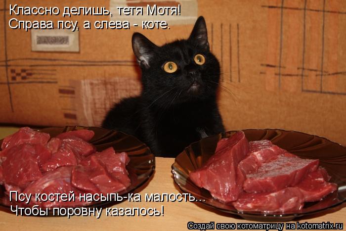 Котоматрица: Классно делишь, тетя Мотя! Справа псу, а слева - коте. Псу костей насыпь-ка малость... Чтобы поровну казалось!