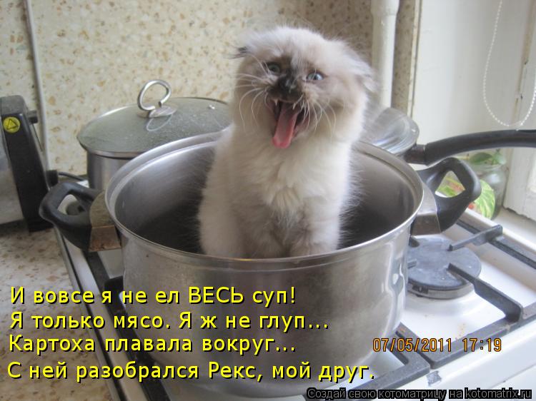 Котоматрица: С ней разобрался Рекс, мой друг. Картоха плавала вокруг... Я только мясо. Я ж не глуп... И вовсе я не ел ВЕСЬ суп!