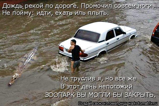 Дождь рекой по дороге. Промочил совсем ноги. Не пойму: идти, ехать иль плыть. ЗООПАРК ВЫ МОГЛИ БЫ ЗАК... Котоматрица: Дождь рекой по дороге. Промочил совсем ноги. Не пойму: идти, ехать иль плыть. ЗООПАРК ВЫ МОГЛИ БЫ ЗАКРЫТЬ. В этот день непогожий Не труслив я,