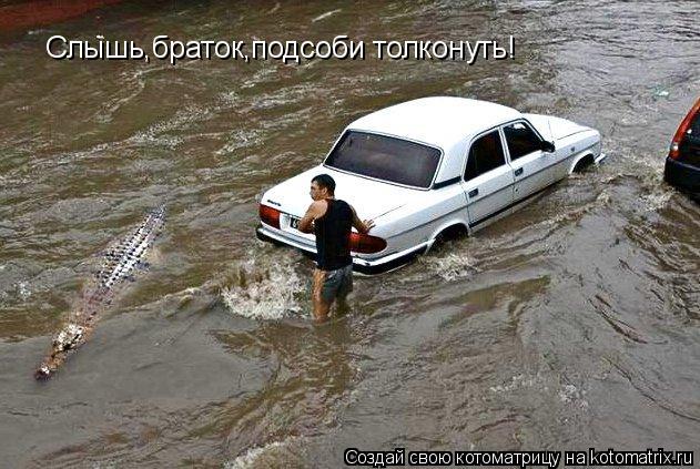 Котоматрица: Слышь,браток,подсоби толконуть!