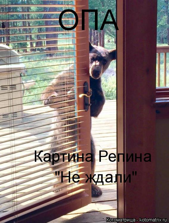 Котоматрица: ОПА Картина Репина "Не ждали"