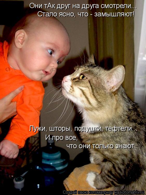 Котоматрица: Они тАк друг на друга смотрели... Стало ясно, что - замышляют! Лужи, шторы, подушки, тефтели... И про все,  что они только знают...